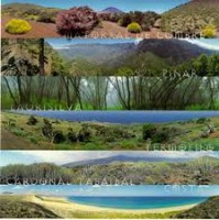 /album/fotogaleria/a9-jpg/