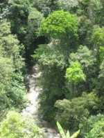 /album/fotogaleria/a10-jpg/