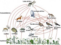 /album/fotogaleria/a000593851-jpg/